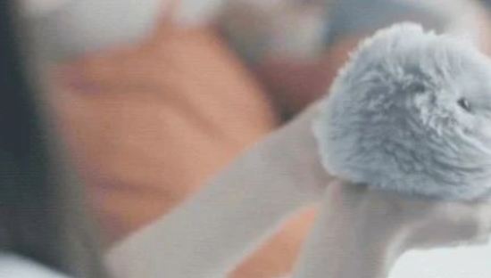 AI宠物热潮快要来了