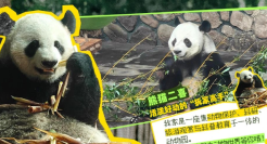 如何打造新型亲子关系的“高质量陪伴”？这场campaign值得借鉴