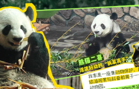 如何打造新型亲子关系的“高质量陪伴”？这场campaign值得借鉴