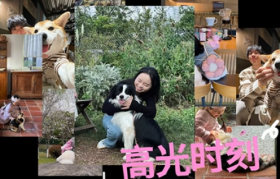 天猫与毛孩子书写「它时代」