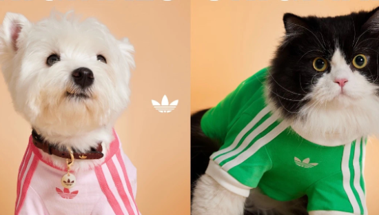 阿迪达斯杀入宠物赛道，开启首届「爱宠日」