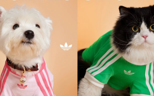 阿迪达斯杀入宠物赛道，开启首届「爱宠日」