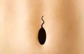 端午节借势海报文案，来了！