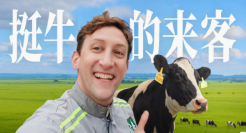 金典请来了一位「挺牛的来客」