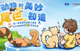 心意叠加新意，甄稀的萌宠公益再次给同行一点小震撼