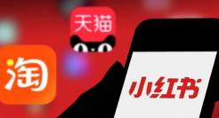 1800亿身家的小红书放手一搏