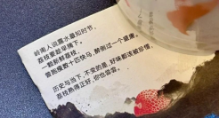 瑞幸x《长安的荔枝》联名刷屏，出圈文案到底有多绝？