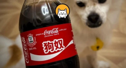 可口可乐“狗奴”瓶，骂得太脏了！
