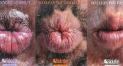 德国最羞耻“菊花”海报，杜蕾斯看了都汗流浃背！