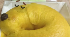 奈雪的茶“狗屎门”新品太炸裂，网友：像拉了坨大的！