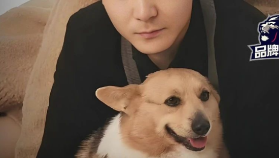 突发！千万网红潘宏杀回来了