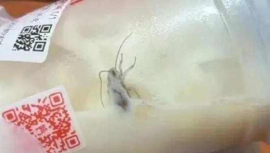 蜜雪冰城“蟑螂门”，暴击3亿穷鬼！