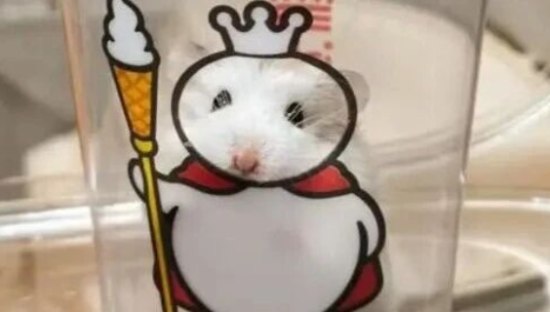 蜜雪冰城爆改“鼠王”？网友：好歹毒的商战！