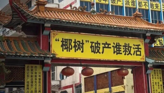 突发！“活菩萨”椰树破产了？