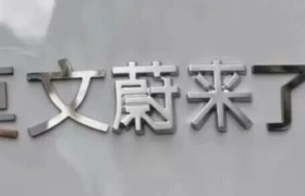 莫文蔚代言蔚来，网友：抽象照进现实了！