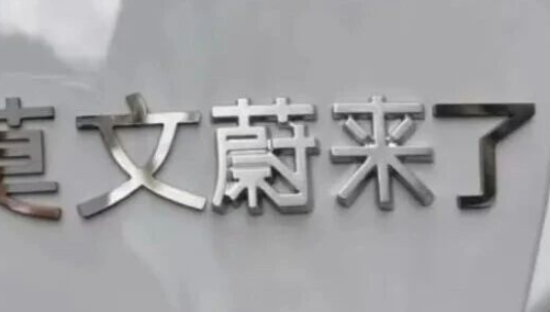 莫文蔚代言蔚来，网友：抽象照进现实了！