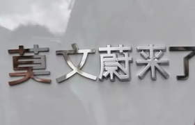 蔚来亲自认证莫文「蔚来」了