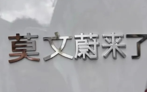 蔚来亲自认证莫文「蔚来」了