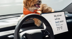 一夜蒸发4600亿！“丐中丐版”特斯拉来了