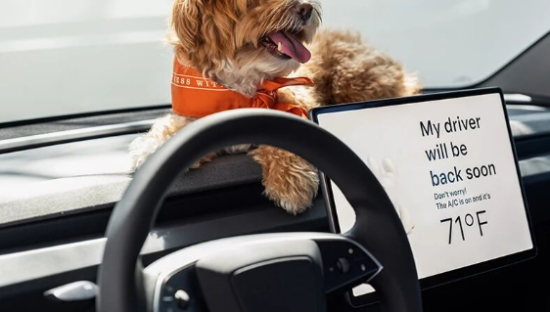 一夜蒸发4600亿！“丐中丐版”特斯拉来了