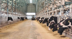 蒙牛被判赔伊利500万背后，“乳业双雄”其实都不轻松