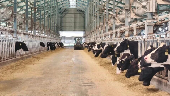 蒙牛被判赔伊利500万背后，“乳业双雄”其实都不轻松