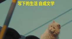 小红书文学节，一个庆祝文字、故事和人类经验的节日