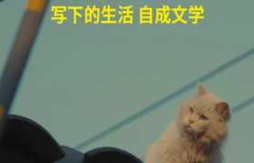 小红书文学节，一个庆祝文字、故事和人类经验的节日