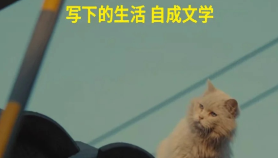 小红书文学节，一个庆祝文字、故事和人类经验的节日