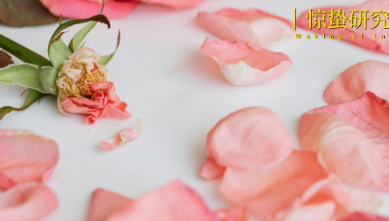 饿了么，“消失”在17岁