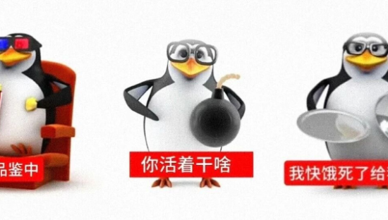 “欠揍系”顶流爆火！这只企鹅被网友玩坏了......